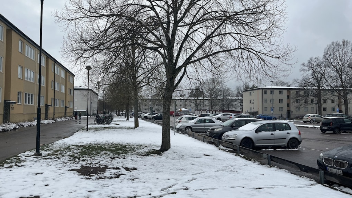 تحذير: ظروف الطريق الصعبة بسبب الأمطار والثلوج في السويد