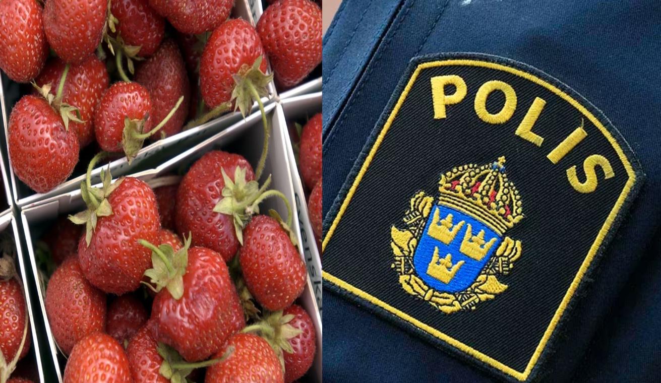 الشرطة السويدية تحذر: شراء الفراولة قد يموّل الجريمة المنظمة