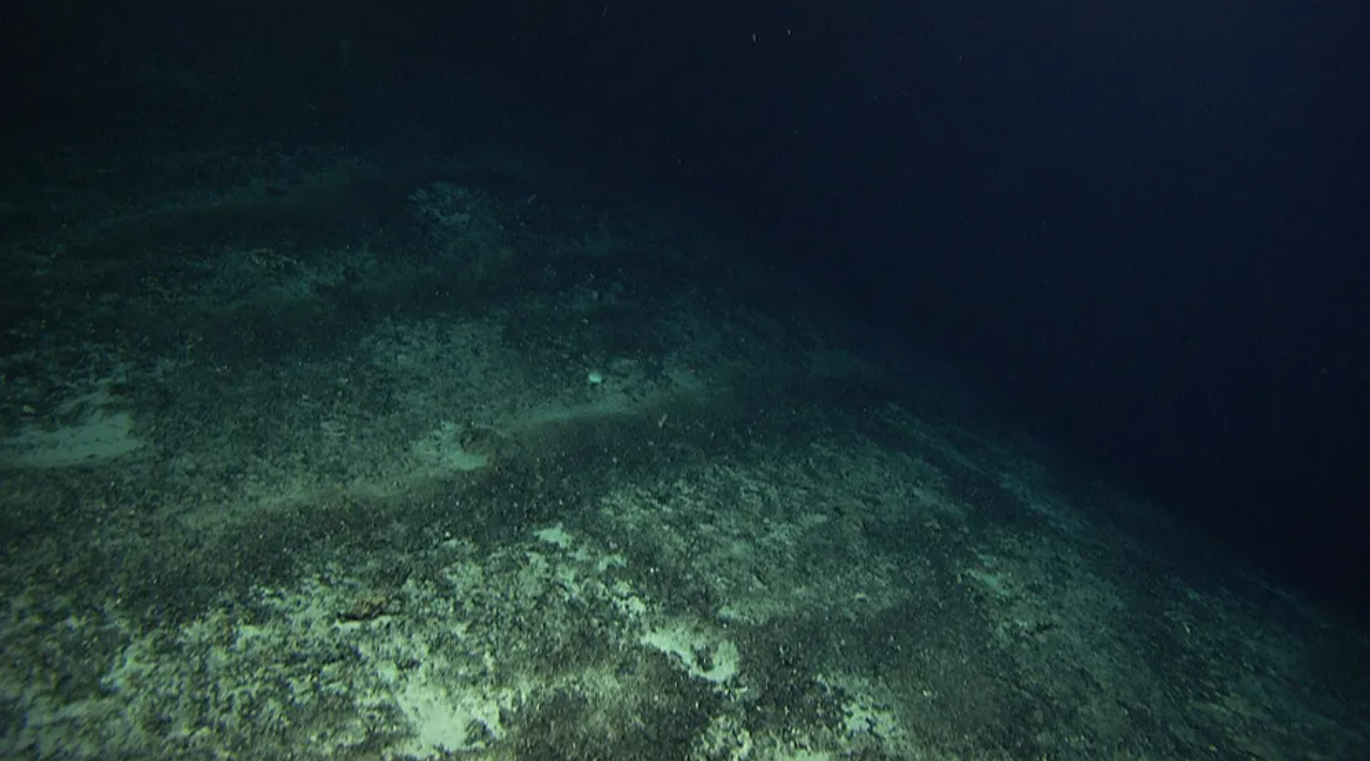اكتشاف “الأكسجين المظلم” في أعماق المحيط: ثورة علمية تغير نظرتنا للحياة البحرية